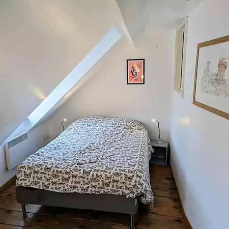 Des Serruriers 아파트 스트라스부르