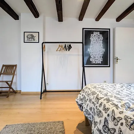 Apartment Des Serruriers Strasbourg