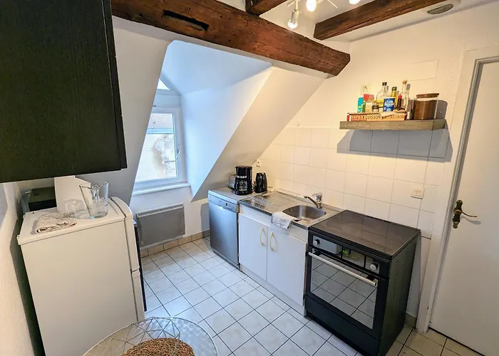 Lejlighed Des Serruriers Strasbourg