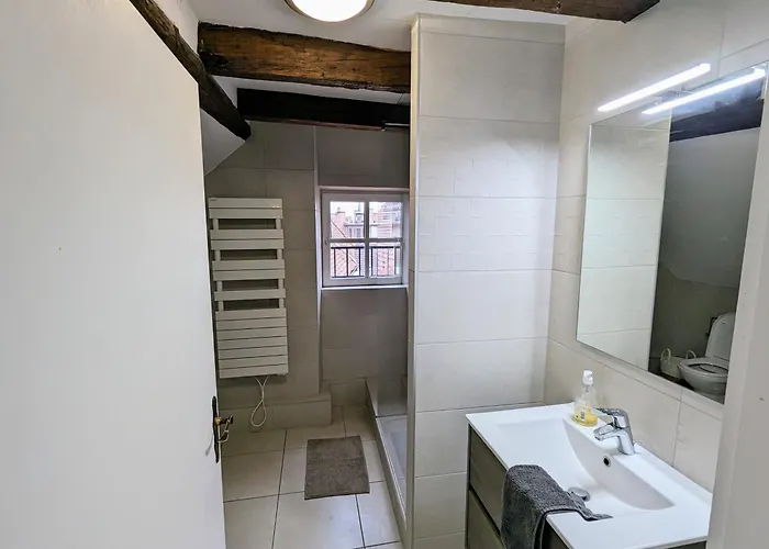 Lejlighed Des Serruriers Strasbourg