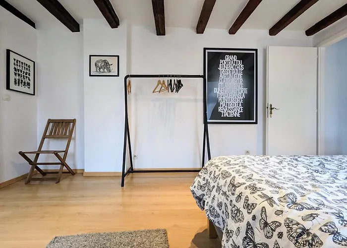 Lejlighed Des Serruriers Strasbourg