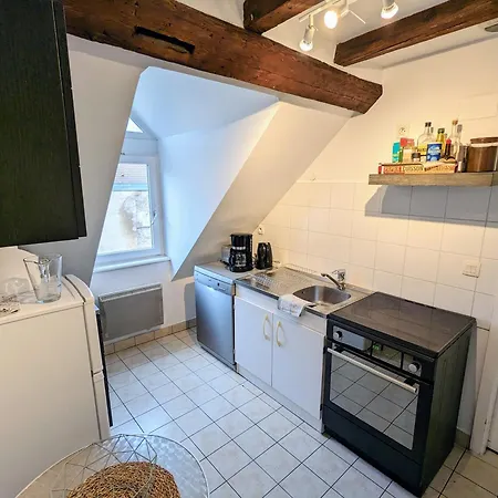 Appartement Des Serruriers Straatsburg