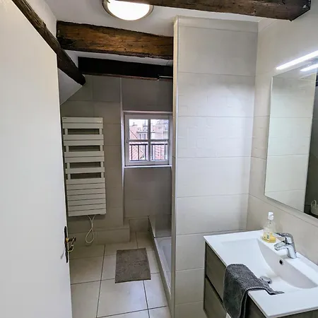 Appartement Des Serruriers Straatsburg